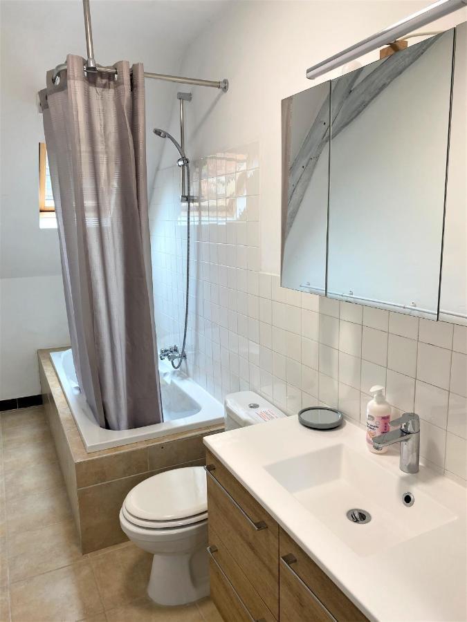 Le Chant Des Oiseaux, 3Km Du Zoo De Beauval, Parking Gratuit ,Wifi Et Netflix Gratuits Saint-Aignan  Exterior photo