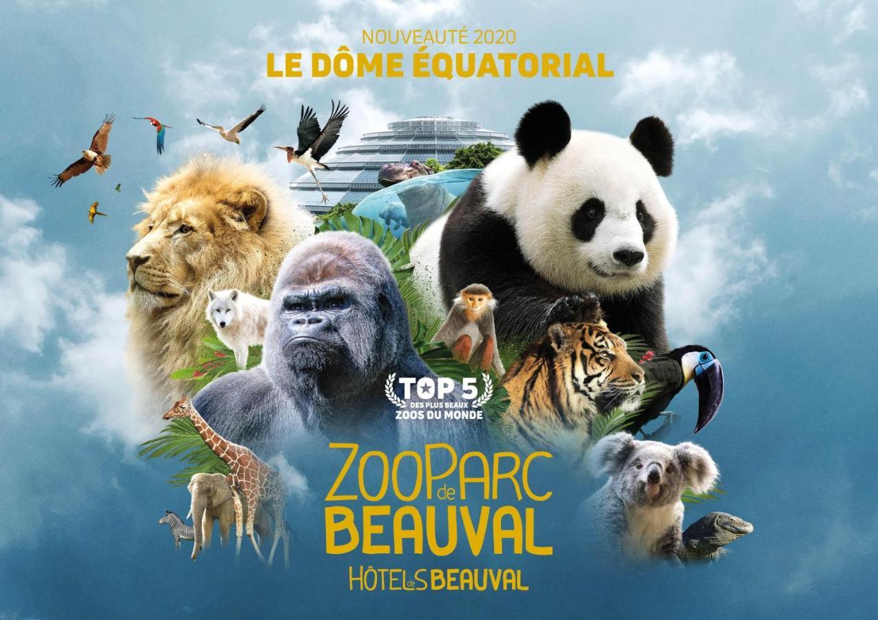 Le Chant Des Oiseaux, 3Km Du Zoo De Beauval, Parking Gratuit ,Wifi Et Netflix Gratuits Saint-Aignan  Exterior photo